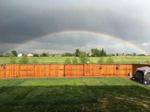 Backyard rainbow